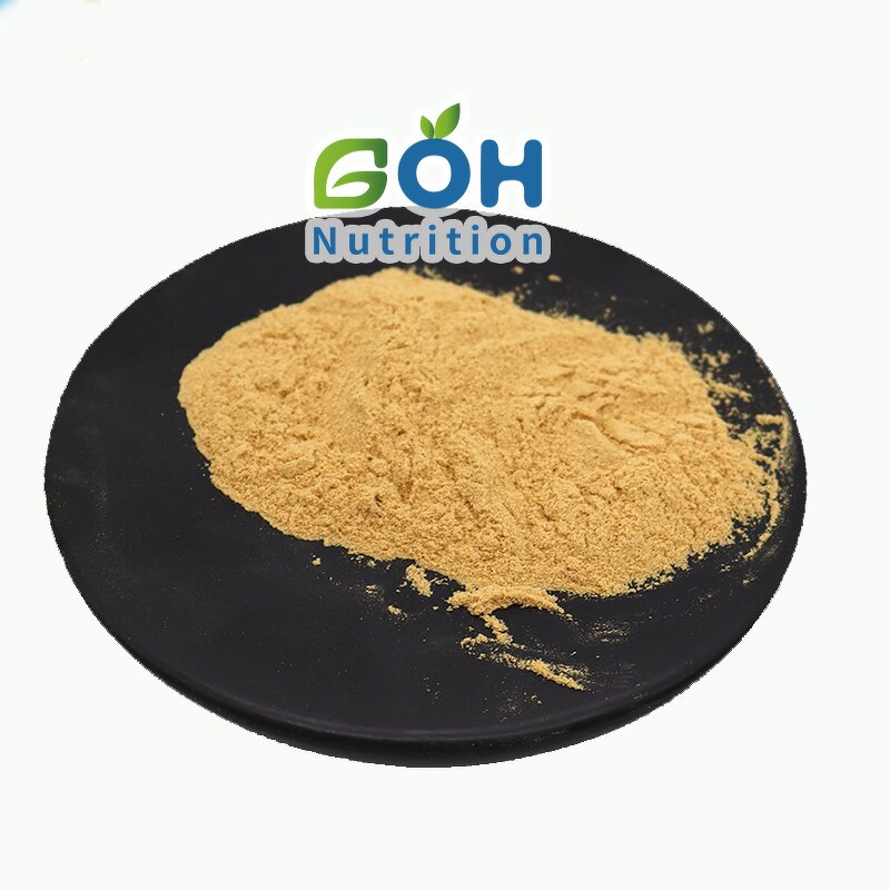 DEXTRANASE Powder Manufacturer - ≥25000 U/ml Food Grade High Quality GOH