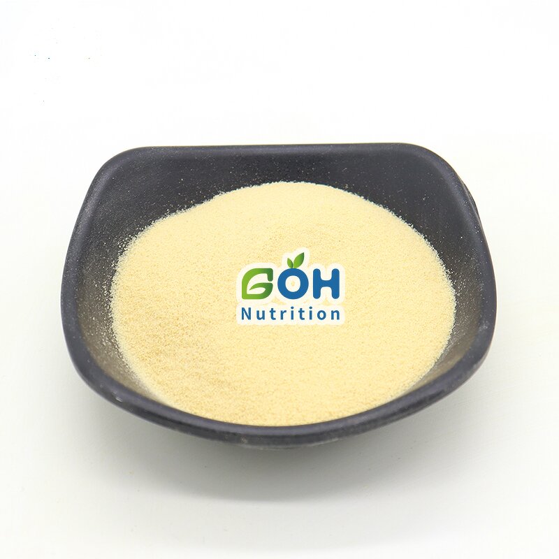 Zein Powder Manufacturer - 100% Pure Food Grade High Quality