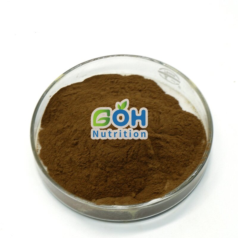 Dong Quai Root Powder Manufacturer - Organic Chinese Angelica Sinensis Manufacturer Supply GOH