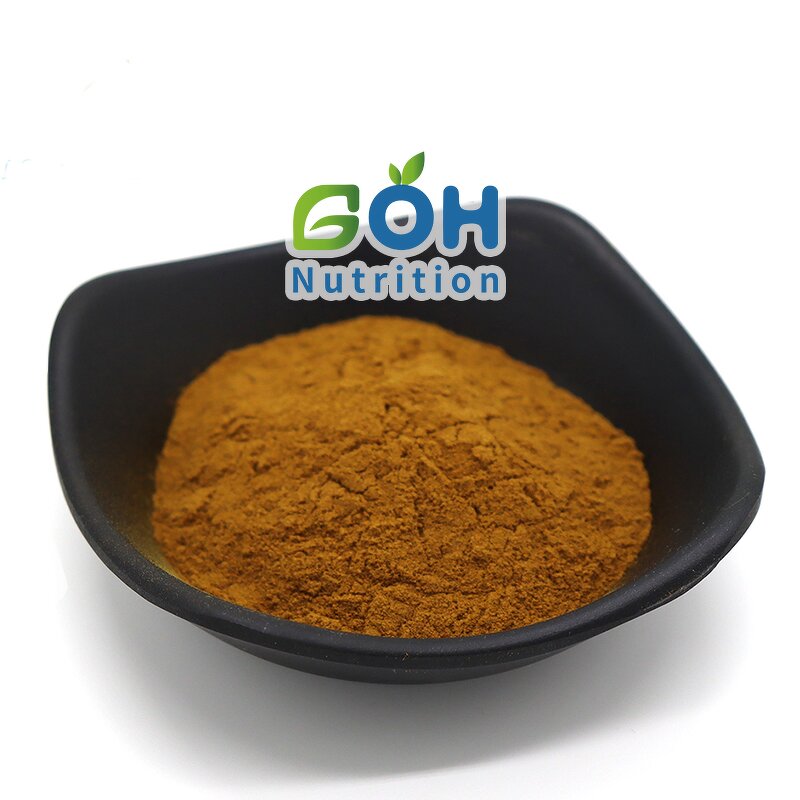 Silymarin Powder Manufacturer - 50% Liposome Food Grade High Quality GOH Supply