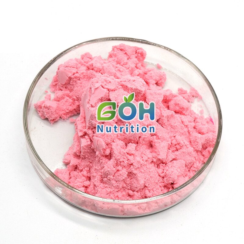 Guava Fruit Juice Powder Manufacturer - Spray Dried/Freeze Dried OEM Private Label GOH