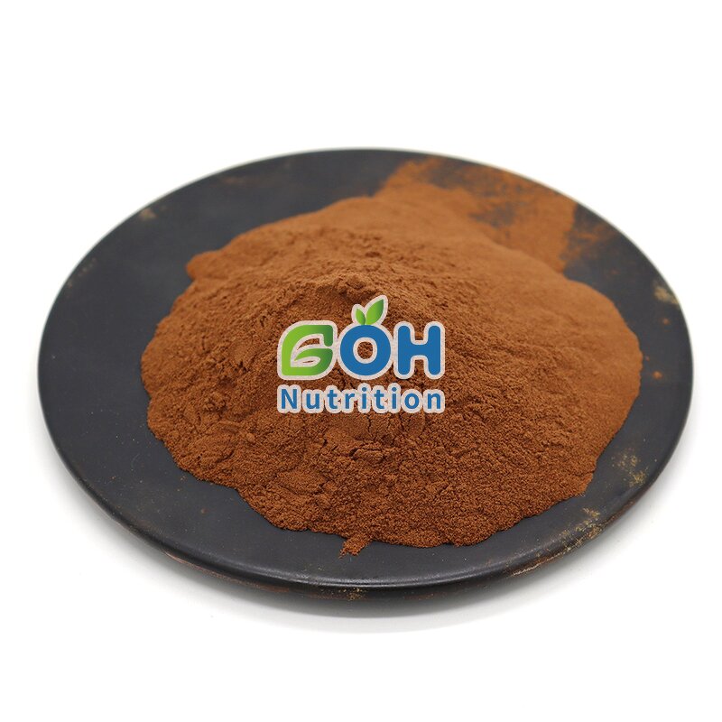 Armillaria Mellea Powder Manufacturer - Honey Mushroom Extract OEM Private Label GOH