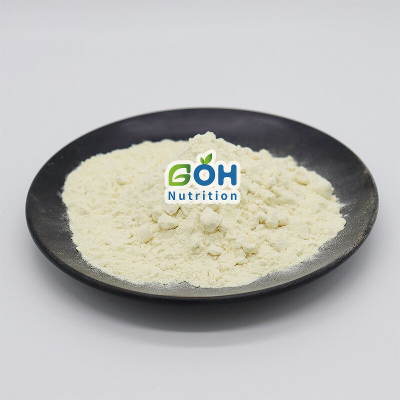 Lipase Powder Manufacturer - ≥100000 U/g High Activity Food Grade