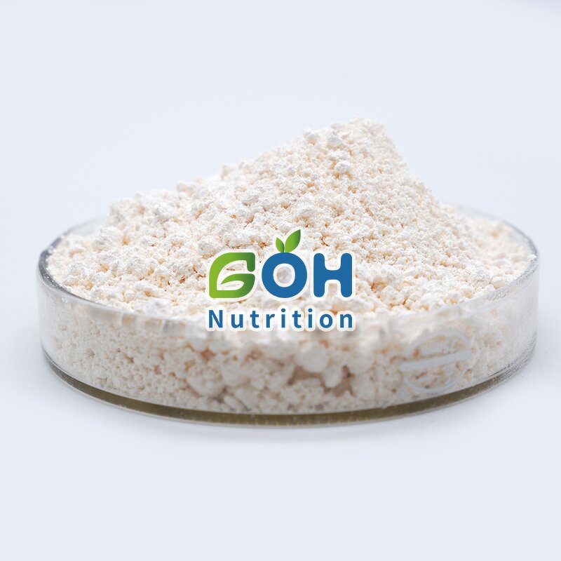 Phloretin Powder Manufacturer - Natural Apple Peel Extract 98% Top Quality