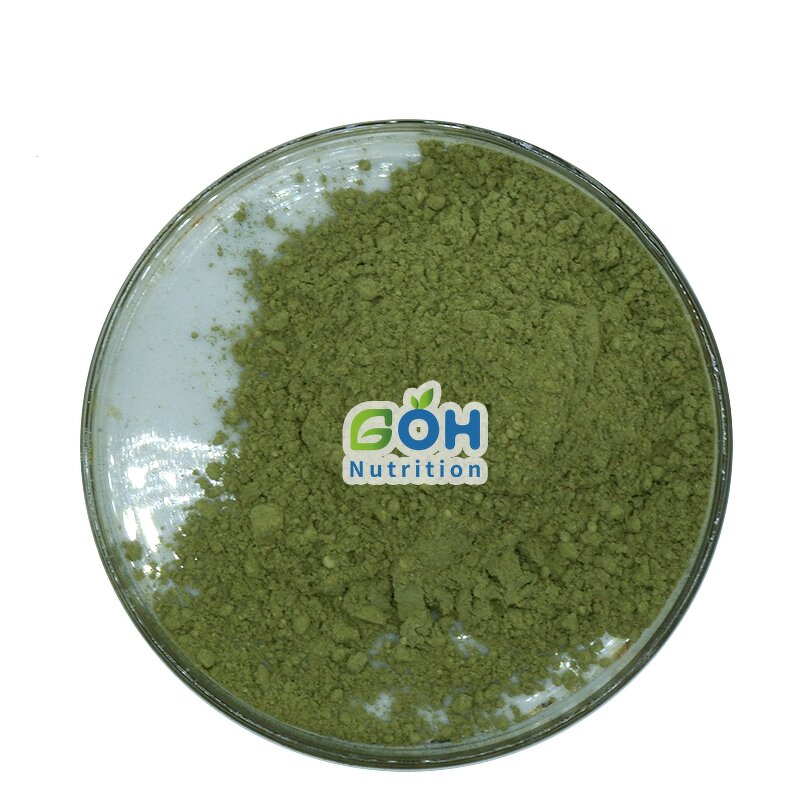 Spinach Juice Powder Manufacturer - Organic Private Label GOH Supplement