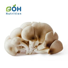 Oyster Mushroom Extract Powder Manufacturer - Dry High Quality GOH Supplement