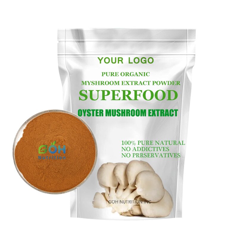 Oyster Mushroom Extract Powder Manufacturer - Dry High Quality GOH Supplement