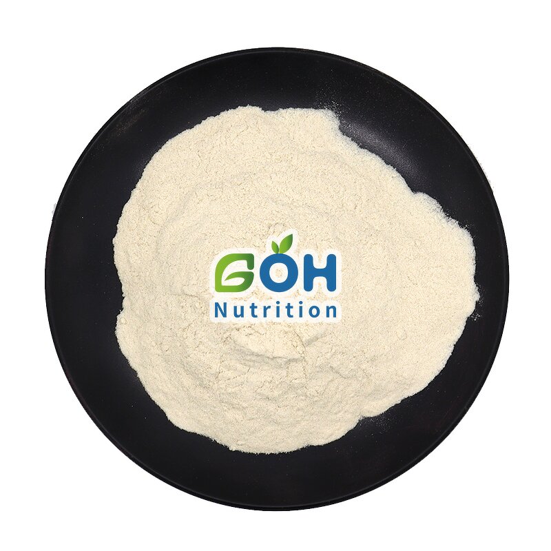Beta-DEXTRANASE Powder Manufacturer - ≥140000 U/g High Activity GOH