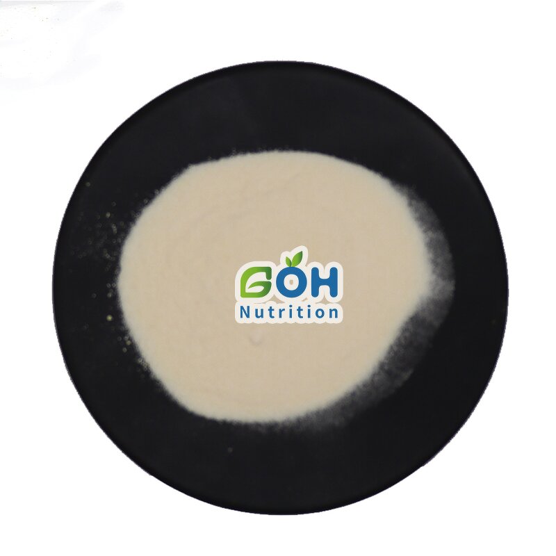 Cheese Powder Manufacturer - Flavor Wholesale Bulk Food Additives