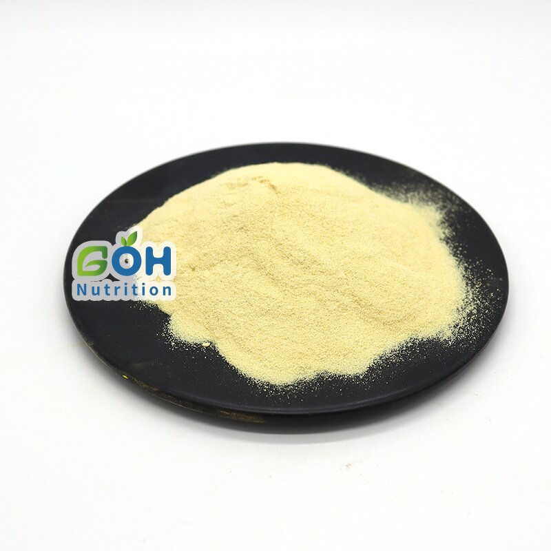 Zein Powder Manufacturer - 100% Pure Food Grade High Quality