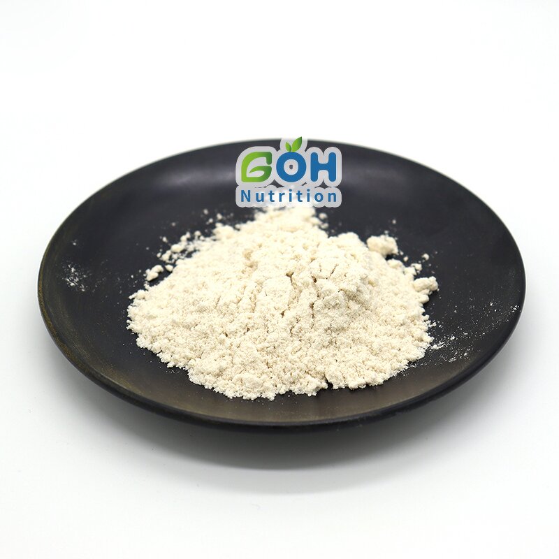 Bacillus Licheniformis Powder Manufacturer - Probiotic for Plant High Quality Bulk Supply