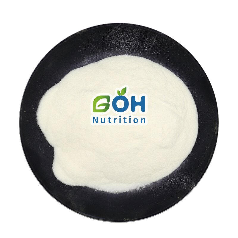 Bacillus Coagulans Powder Manufacturer - Probiotic Natural Bulk Food Grade