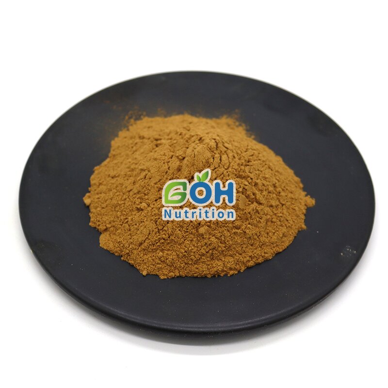 Oyster Mushroom Powder Manufacturer - Organic Dried Pleurotus Ostreatus Extract OEM Private Label GOH