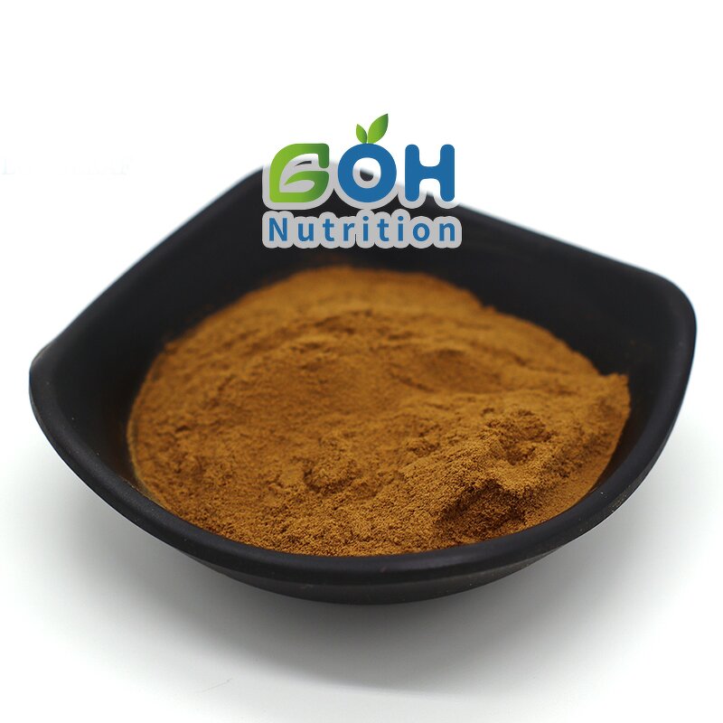 Ligusticum Wallichii Extract Manufacturer - High Quality Herb Plant