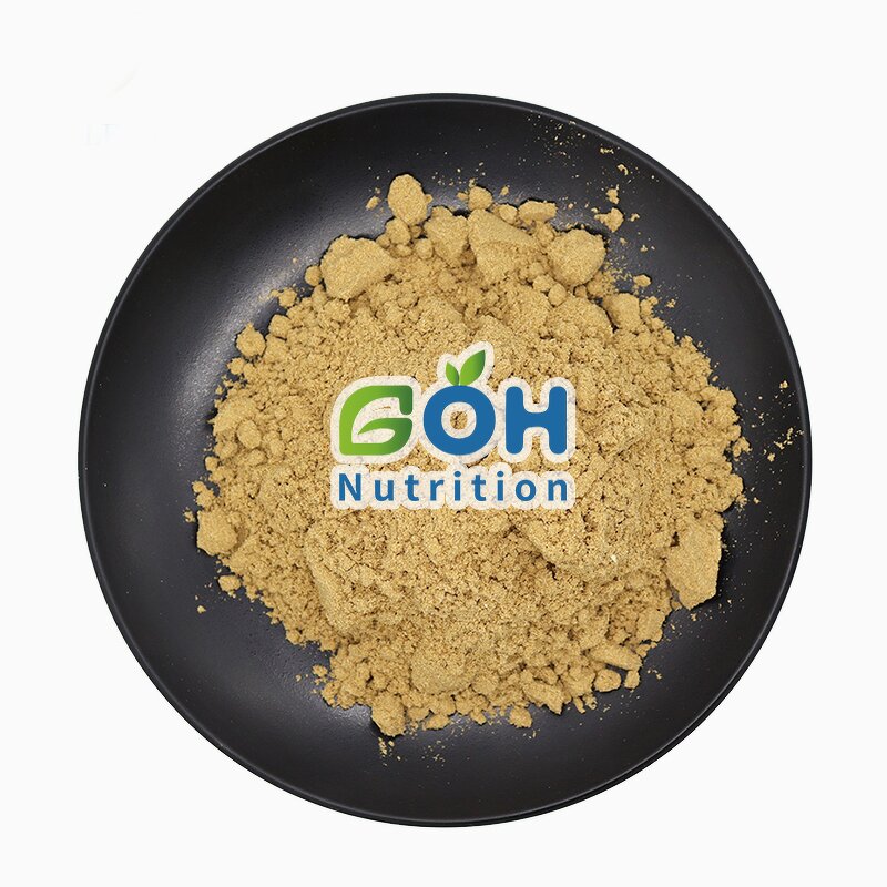 Morchella Powder Manufacturer - 30% Polysaccharides Morel Extract OEM Private Label GOH