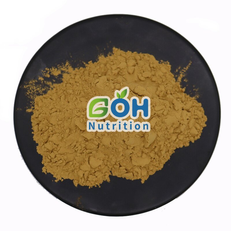 Saponin Powder Manufacturer - 40%-98% Best Price