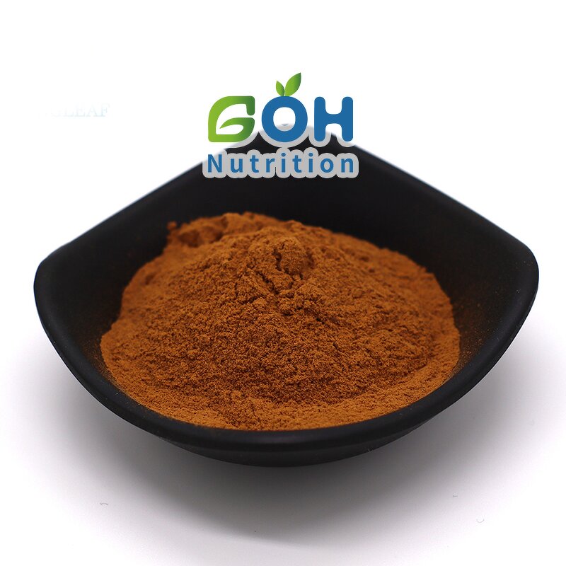 Uncaria Gambir Extract Powder Manufacturer - 10:1 High Quality