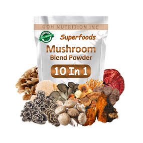 Mushroom Complex Powder Manufacturer - 10in1 Blend Superfoods Supply