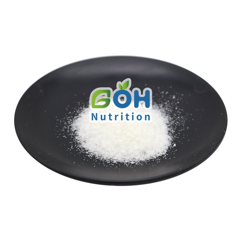 Xylitol Powder Manufacturer - Organic Bulk Food Additive GOH Supply