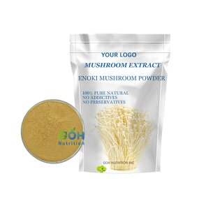 Enoki Mushroom Powder Manufacturer - Organic High Quality Mushroom Extract GOH Supplement