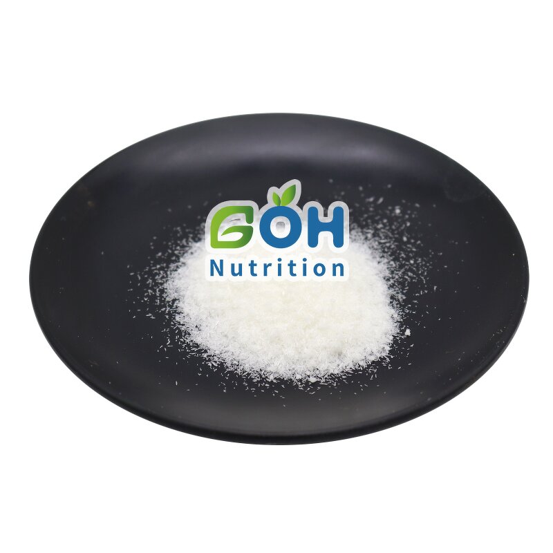 Xylitol Powder Manufacturer - Organic Bulk Food Additive GOH Supply