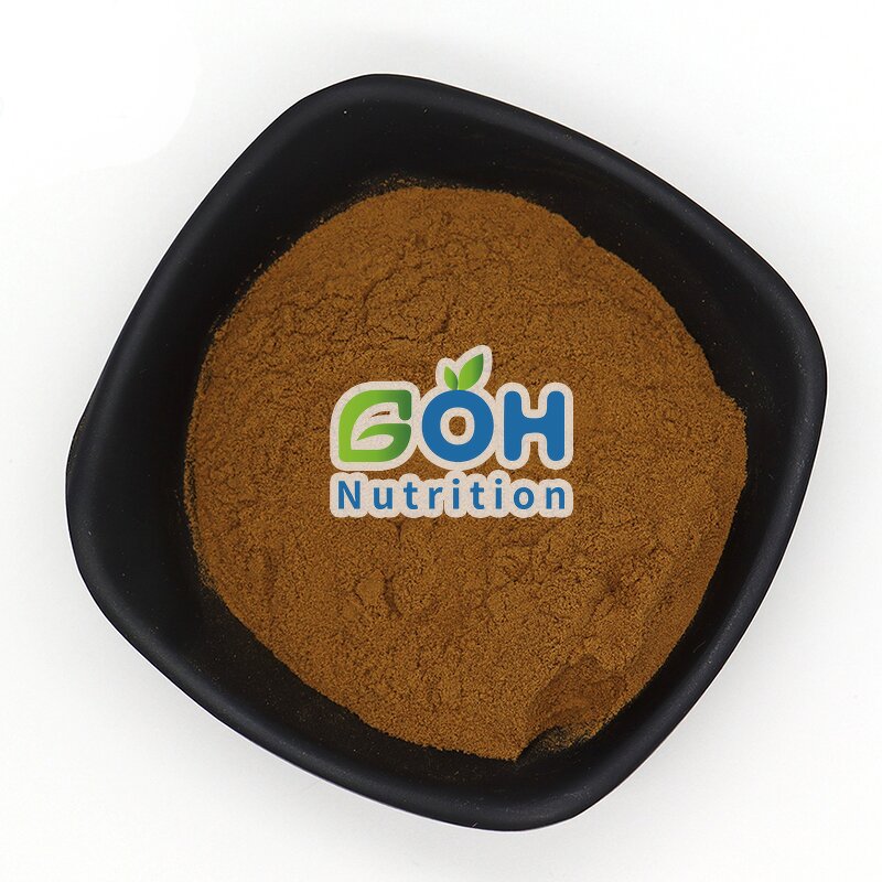 Ligusticum Wallichii Extract Manufacturer - High Quality Herb Plant