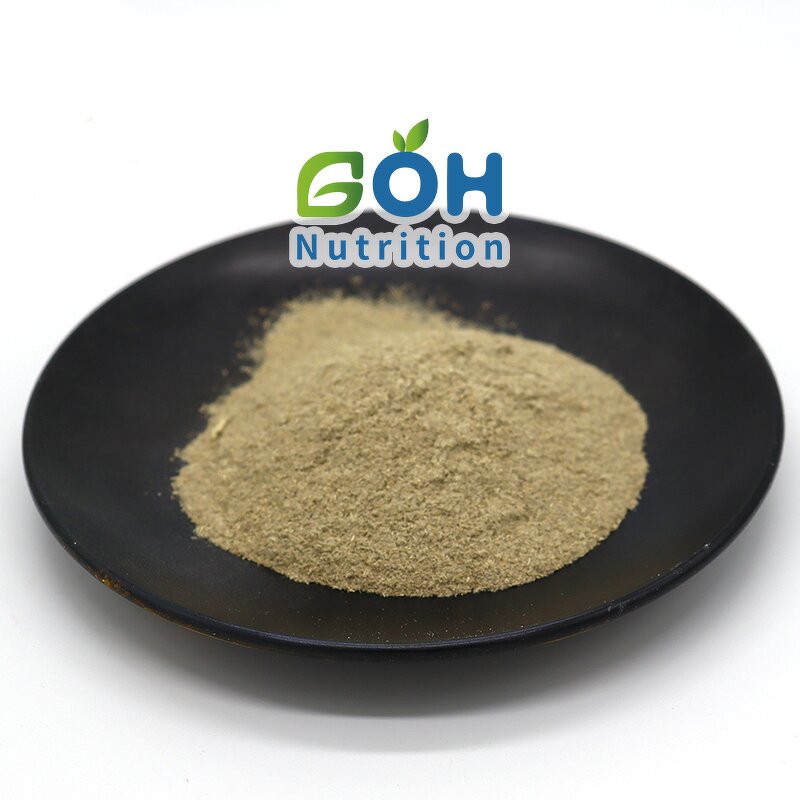 Ursolic Acid Extract Manufacturer - 90% Ursolic Acid Best Price