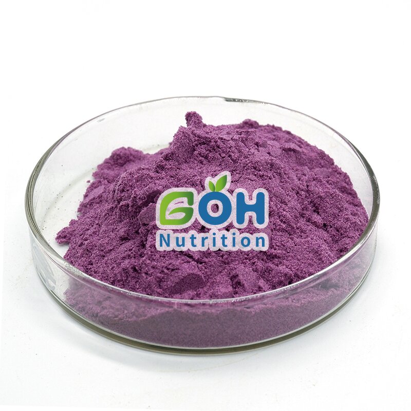 Blueberry Fruit Powder Manufacturer - Spray Dried/Freeze Dried OEM Private Label GOH