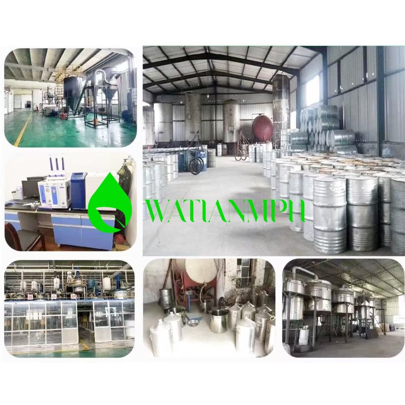 Vitamin E Oil Manufacturer - Factory Wholesale Bulk Free Sample for Skin Body Hair