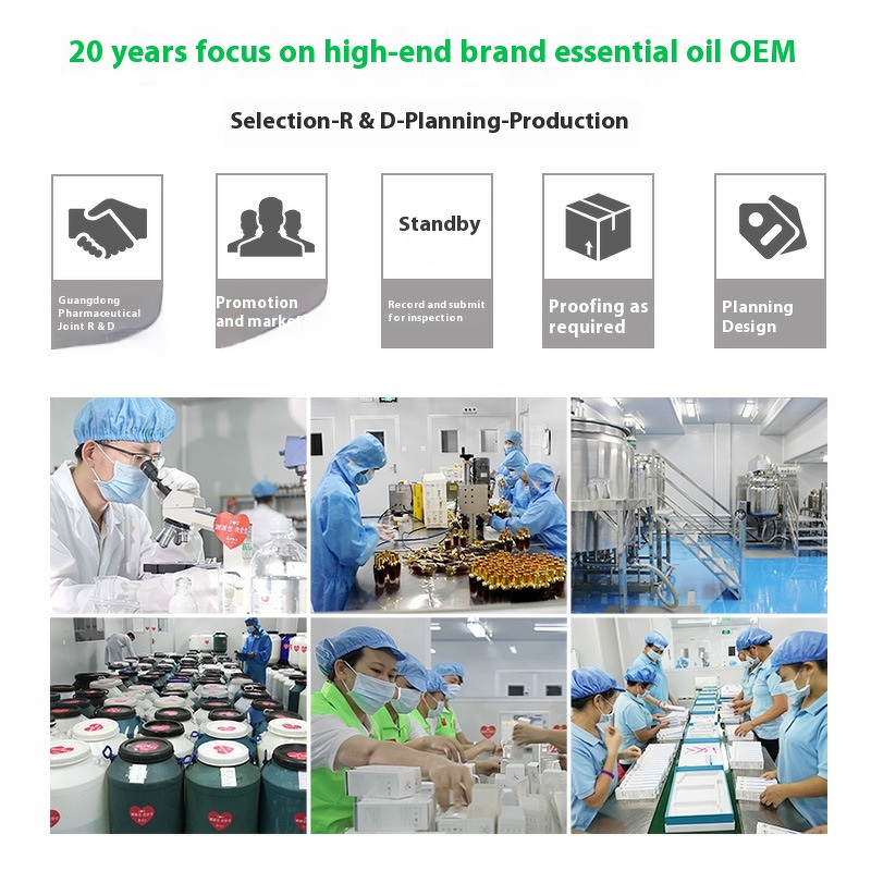 Essential Oil Set Manufacturer - Custom 4/6/8/10 Pack for Aromatherapy 10ml