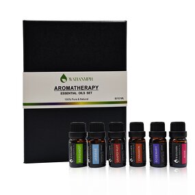 Safflower Oil Manufacturer - Whitening Aroma 10ml for Skin Treatment OEM Includes Eucalyptus