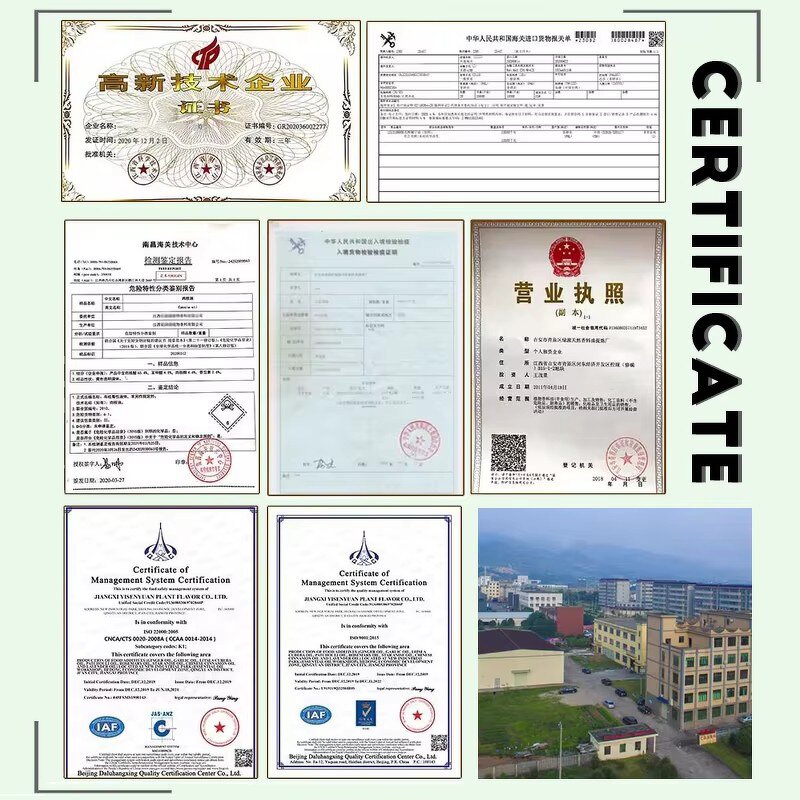 Avocado Oil Manufacturer - Cold Pressed Organic for Skin Care Wholesale Bulk