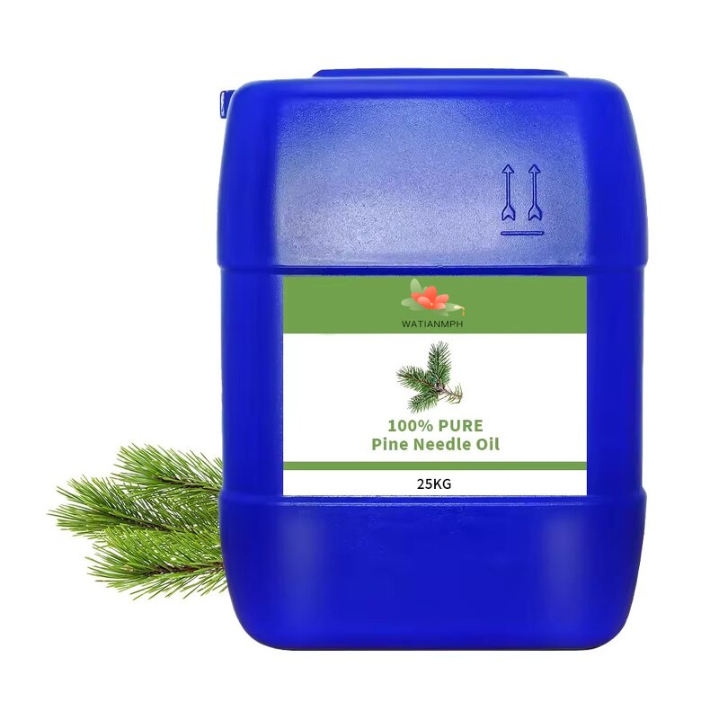 Pine Needle Oil Manufacturer - 100% Organic for Aroma Diffuser MOQ 1Kg