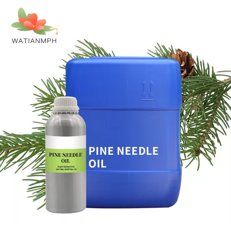 Pine Needle Oil Manufacturer - 100% Organic for Aroma Diffuser MOQ 1Kg