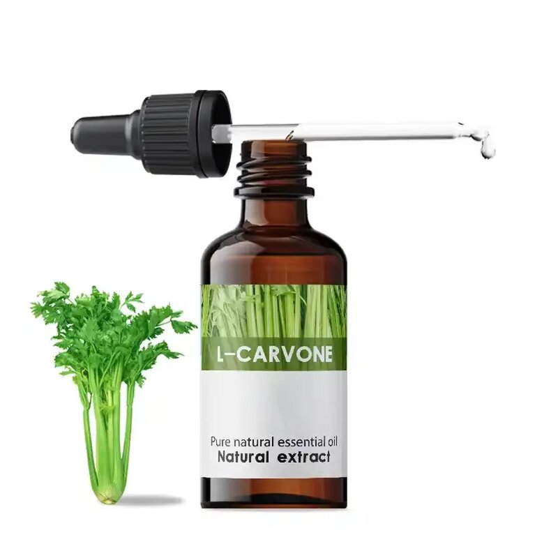 Carrot Seed Oil Manufacturer - Organic for Skin Care Bulk Manufacturer