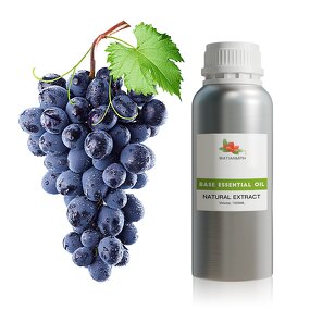 Carrot Seed Oil Manufacturer - Distilled Essential Oil for Skin Care Wholesale Supplier