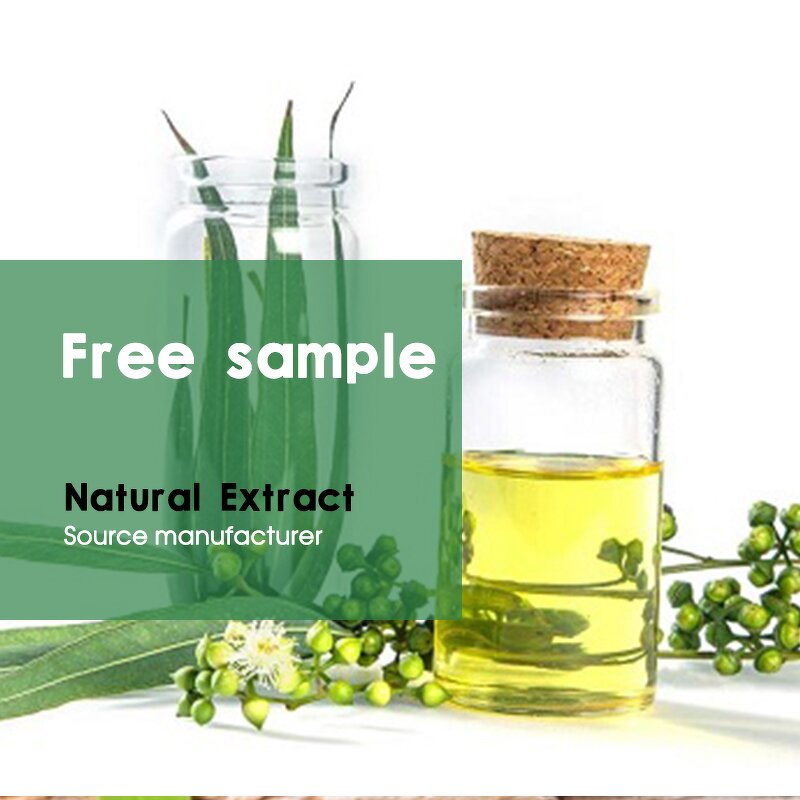 Carvone Oil Manufacturer - China Manufacture 99% Natural for Food Flavor CAS 99-49-0