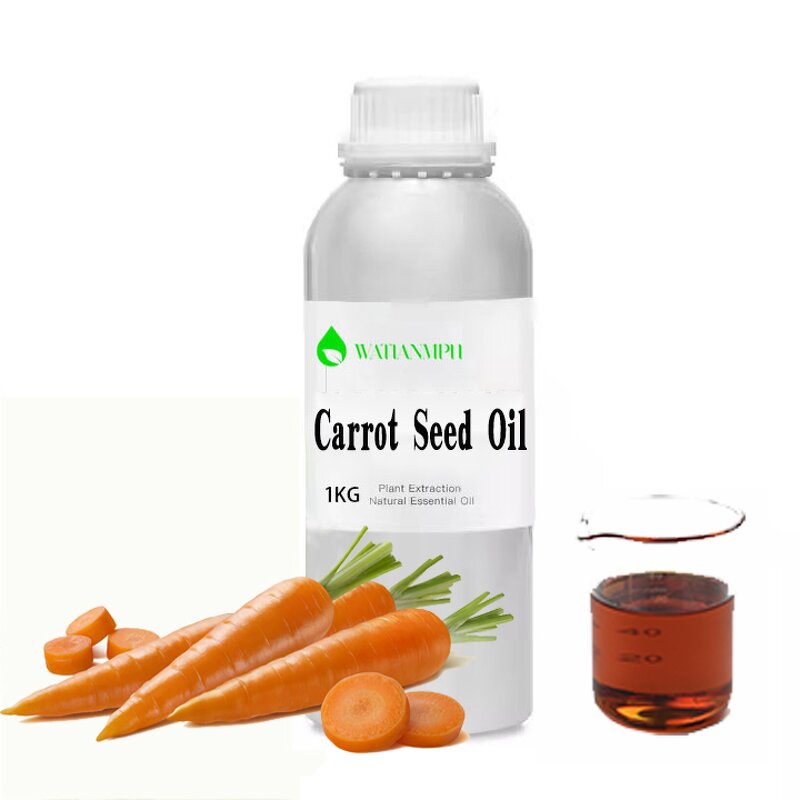 Apricot Oil Manufacturer - Cold Pressed China Manufacture Wholesale 25kg
