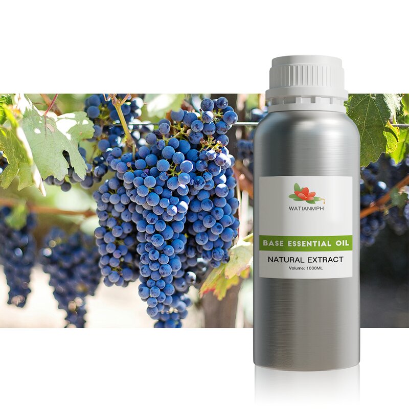 Carrot Seed Oil Manufacturer - Distilled Essential Oil for Skin Care Wholesale Supplier