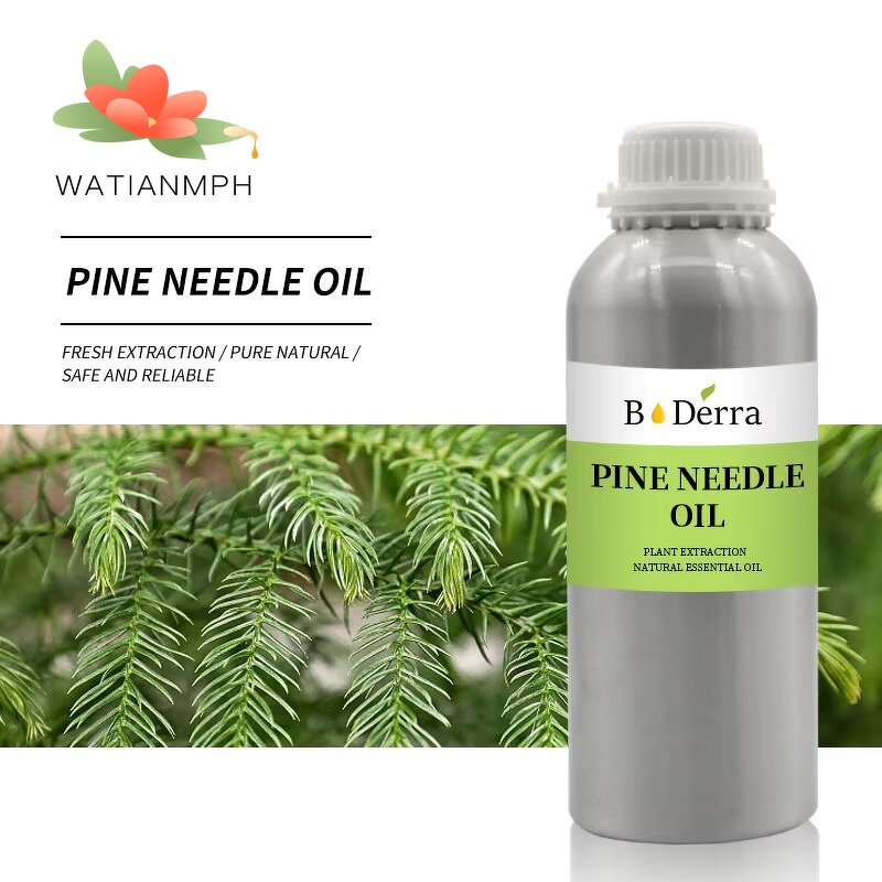 Pine Needle Oil Manufacturer - 100% Organic for Aroma Diffuser MOQ 1Kg