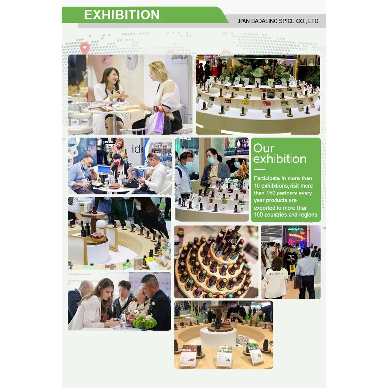 Seed Oil Manufacturer - 100% Pure Organic Cold Pressed for Body Skin Hair