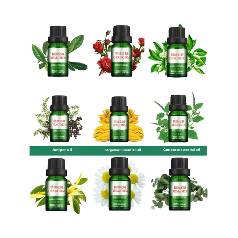 Olive Oil Manufacturer - Light Pressed Extra Virgin for Cooking Dressing Wholesale