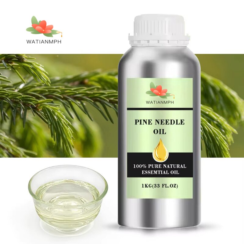Pine Needle Oil Manufacturer - 100% Organic for Aroma Diffuser MOQ 1Kg