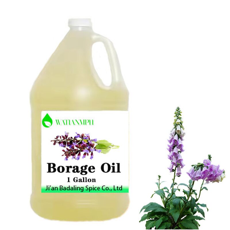 Borage Seed Oil Manufacturer - Cosmetics Grade with Wholesale Price