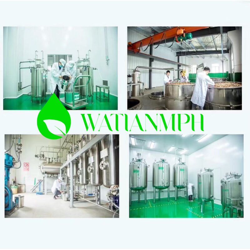 Peppermint Essential Oil Manufacturer - Pure for Aromatherapy Cosmetics Air Freshener Factory