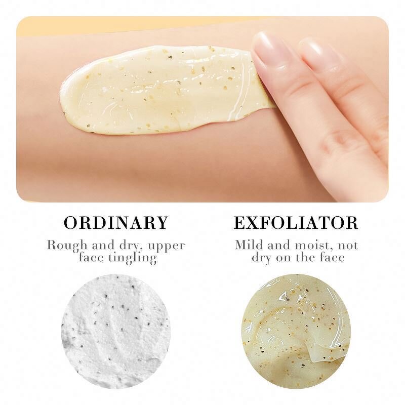 SADOER Lip Scrub Manufacturer - Private Label Tricolor Vegan Korean Autumn Winter Moisturizing