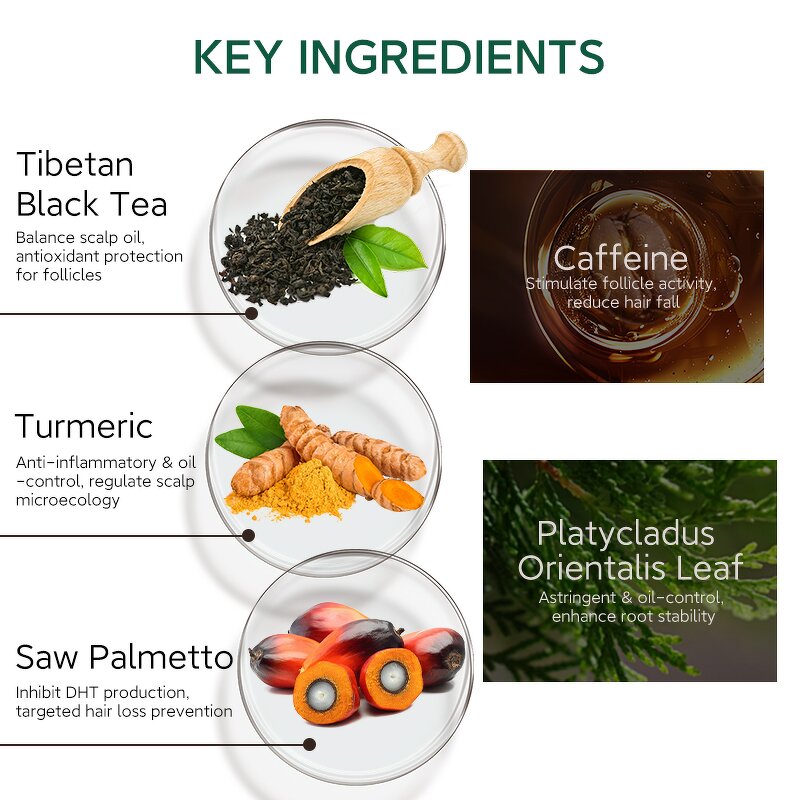 Shampoo Manufacturer - Custom 400ml Natural with Turmeric Black Tea Improves Scalp Anti-Hair Loss