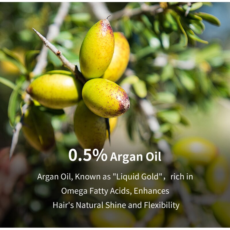 Shampoo Manufacturer - Hot Selling Zealmore Argan Oil for Men Women Strengthens Silky Hair