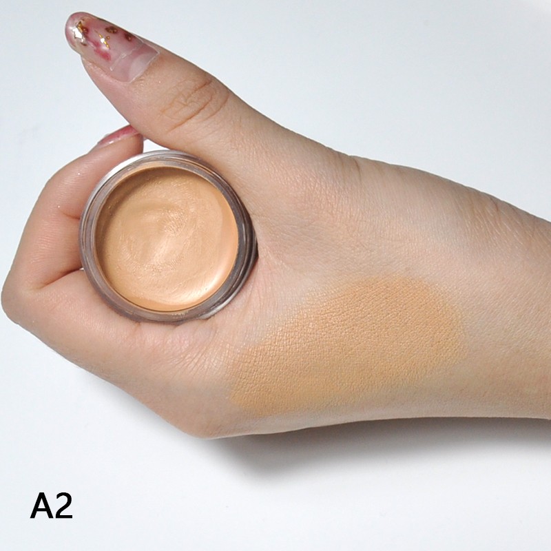Cream Concealer Supplier - OEM Private Label Vegan Waterproof 21 Colors