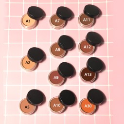 Cream Concealer Supplier - OEM Private Label Vegan Waterproof 21 Colors